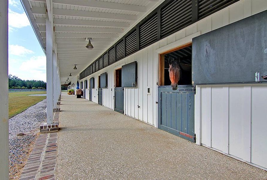 Exterior details and patio area of a home in , Ravenel (Image 3).