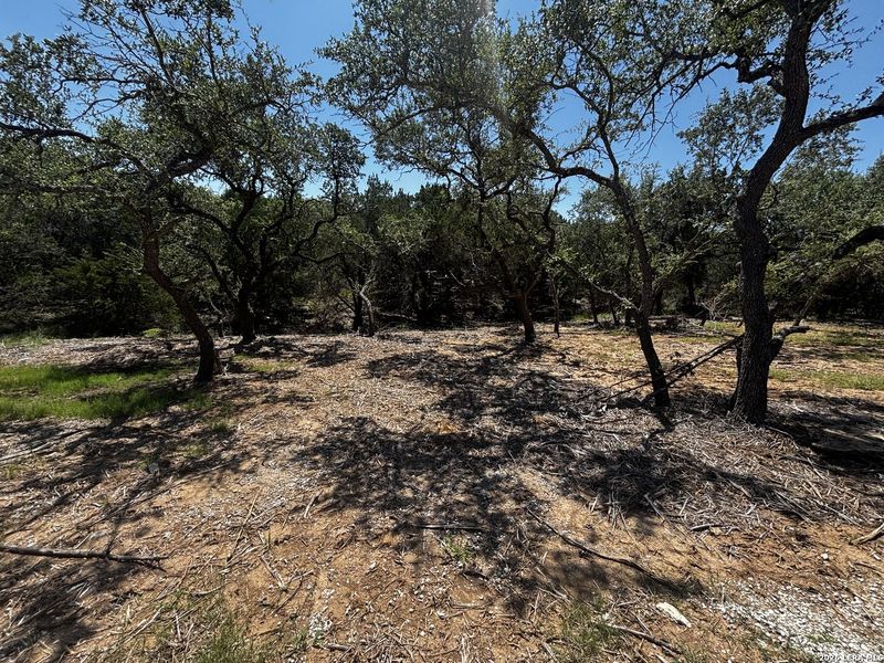 Natural landscape and outdoor views near in Fischer (Image 6). Natural landscape and outdoor views near in Fischer (Image 6).