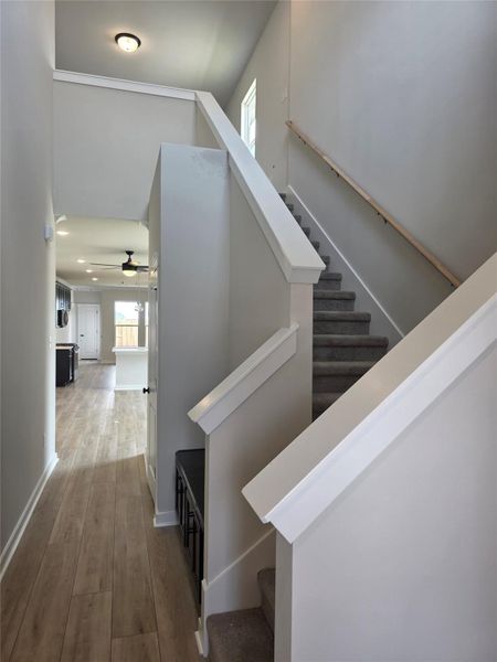 Spacious, unfurnished interior of a new home in , Bonney (Image 31).