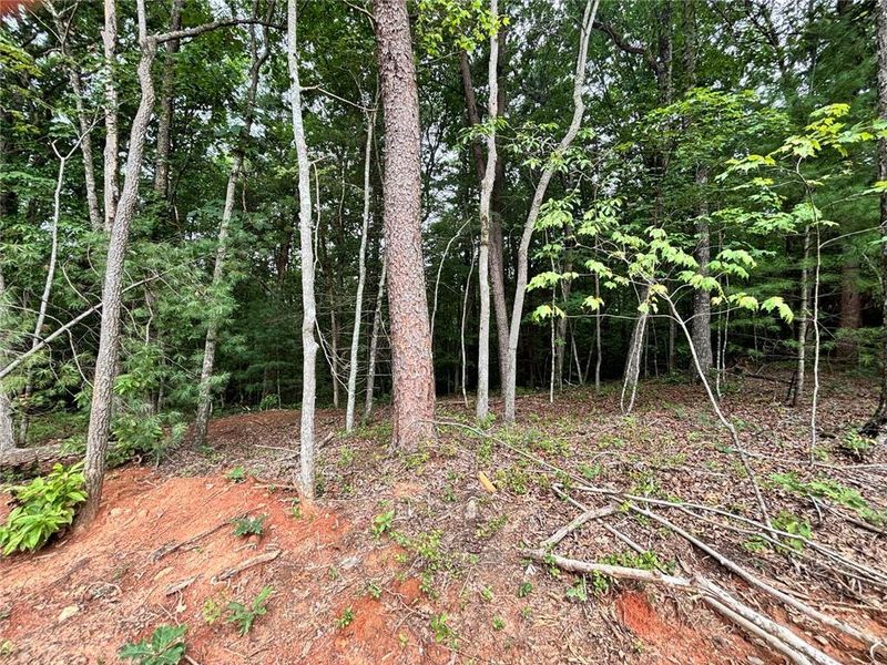 Natural landscape and outdoor views near in Ellijay (Image 18). Natural landscape and outdoor views near in Ellijay (Image 18).