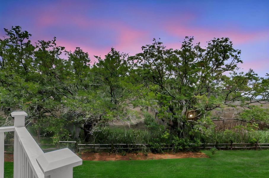 Natural landscape and outdoor views near  in Charleston (Image 37).