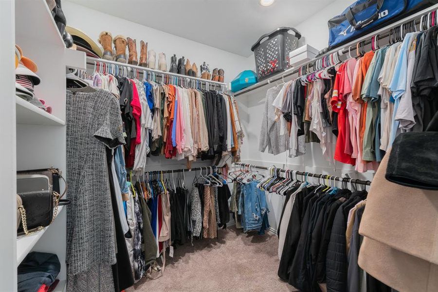 Walk in closet featuring carpet flooring