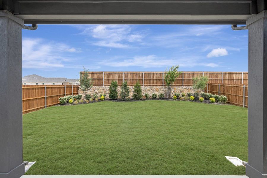 Backyard Backyard