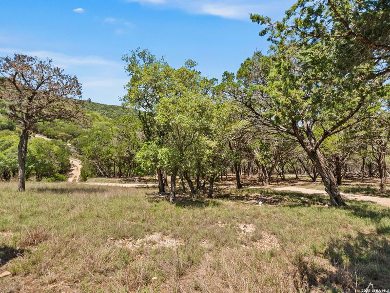 Natural landscape and outdoor views near  in Bandera (Image 50).