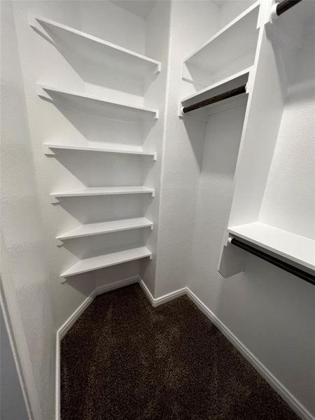 Walk in closet featuring dark colored carpet Walk in closet featuring dark colored carpet