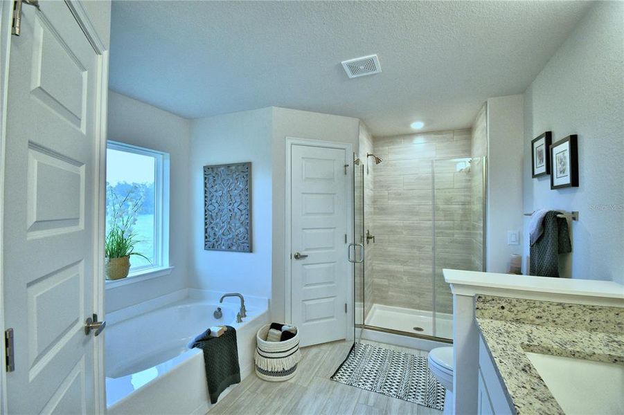Furnished interior view inside a new home in Cadence Crossing, Auburndale (Image 4).