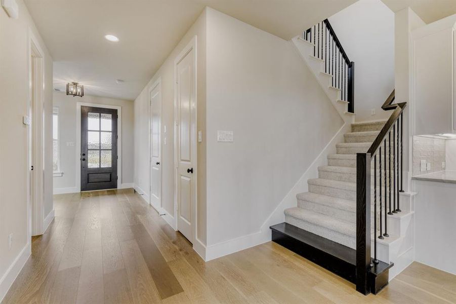 Entryway featuring wood-finish flooring, a dark-paneled front door with divided lites, and a contemporary ceiling light fixture