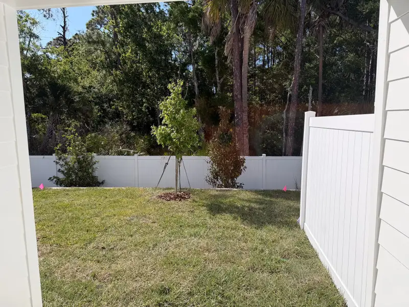 Backyard with a privacy fence