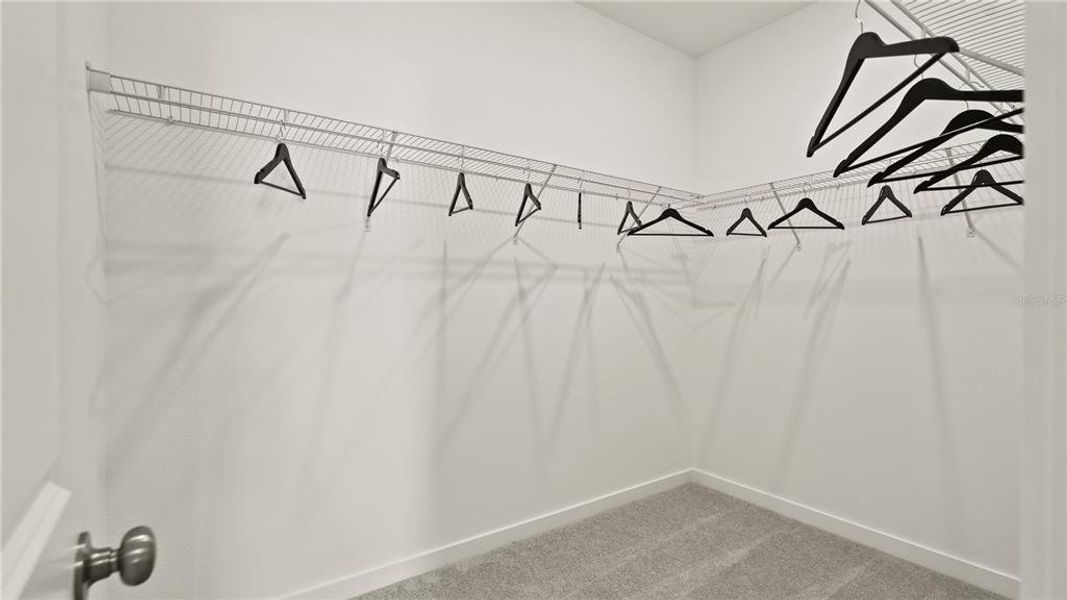 Spacious, unfurnished interior of a new home in , Clermont (Image 19).
