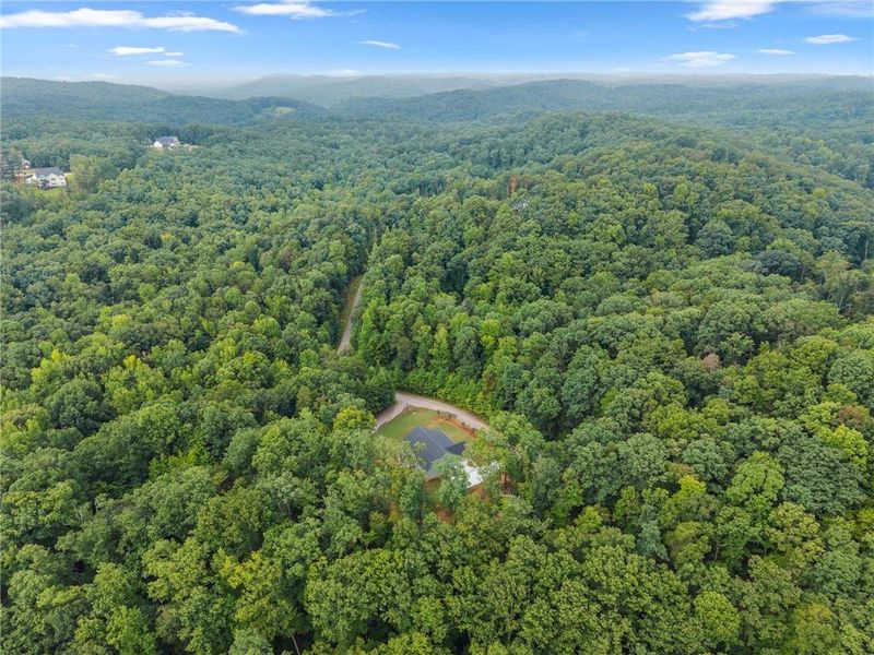 Natural landscape and outdoor views near  in Baldwin (Image 70).
