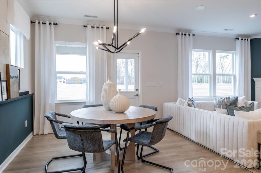 REPRESENTATIVE PHOTO