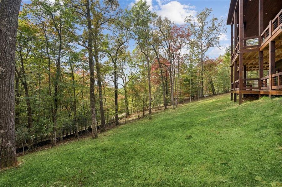 Natural landscape and outdoor views near  in Mineral Bluff (Image 38).