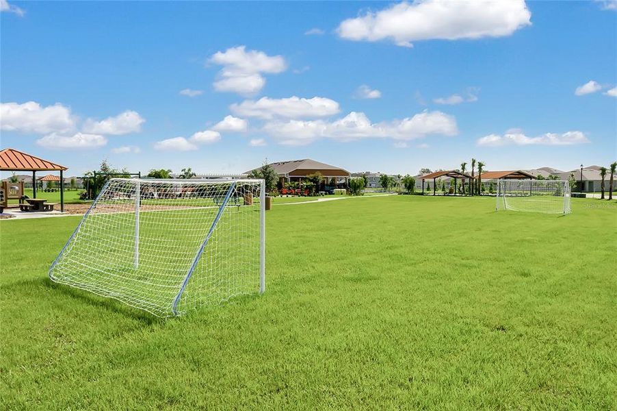 Community amenities in Charles Cove Express, Davenport (Image 24).