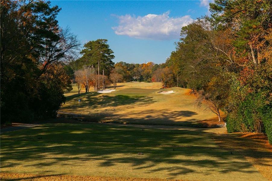 Natural landscape and outdoor views near  in Atlanta (Image 47).