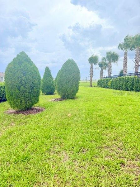 Natural landscape and outdoor views near  in Winter Haven (Image 32).