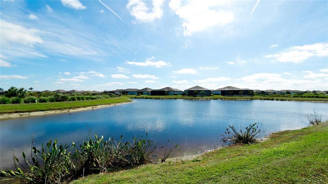 Natural landscape and outdoor views near in Parrish (Image 59). Natural landscape and outdoor views near in Parrish (Image 59).