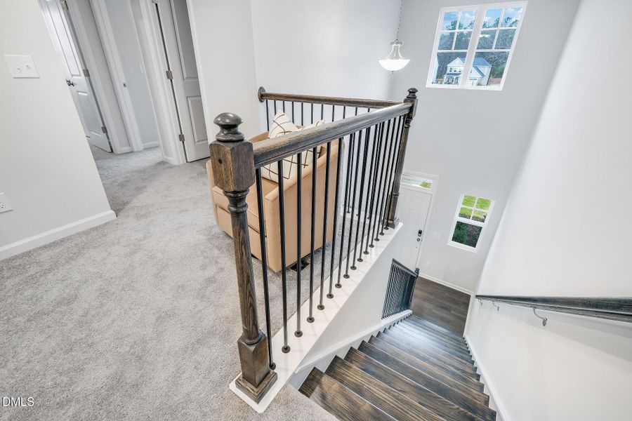 SUN_TripleCrown_Pic_Davidson-38