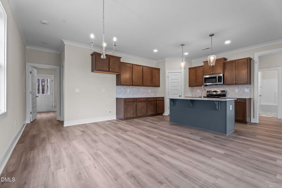 23-web-or-mls-DSC09356