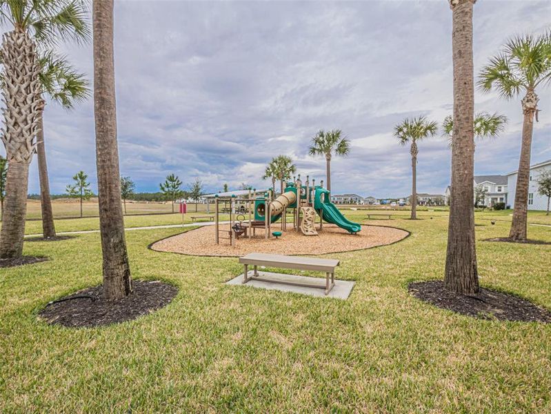 Community amenities in Horizon Isle, Winter Garden (Image 35). Community amenities in Horizon Isle, Winter Garden (Image 35).