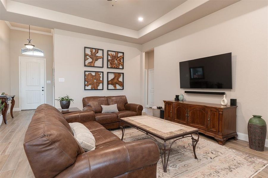 Custom design choices for family room to include ceiling fan, lighting