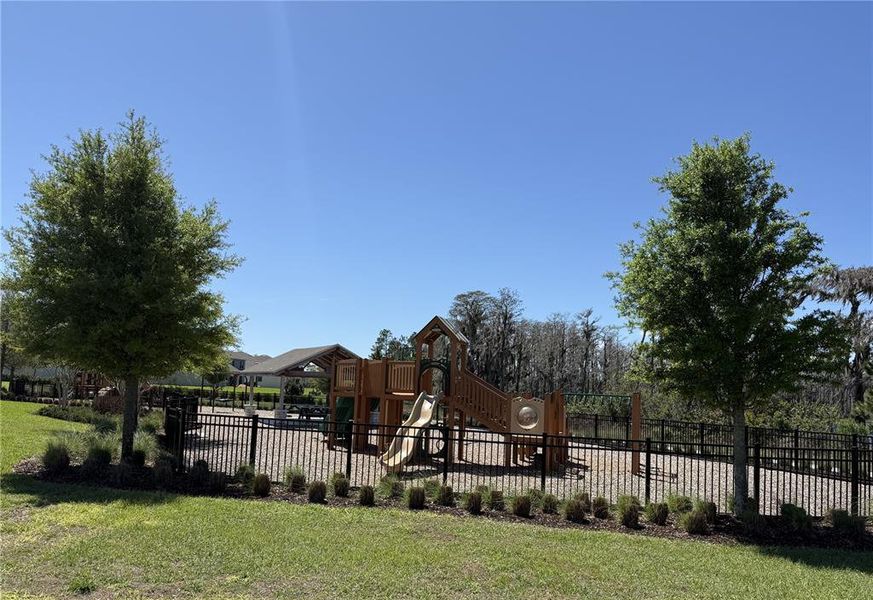 Community amenities in , Winter Garden (Image 54).