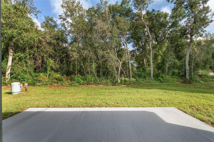 Natural landscape and outdoor views near  in Ocala (Image 49).