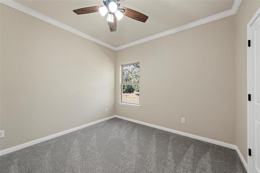 Spare room with ceiling fan, carpet, and crown molding