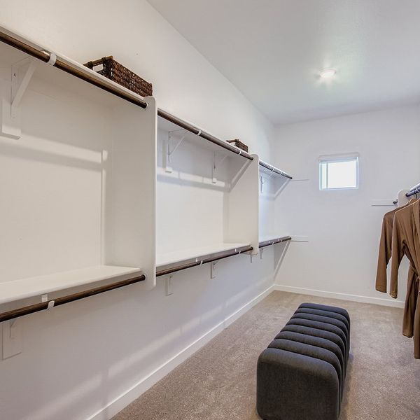 5582 Evolution Owners WIC F1 Base6