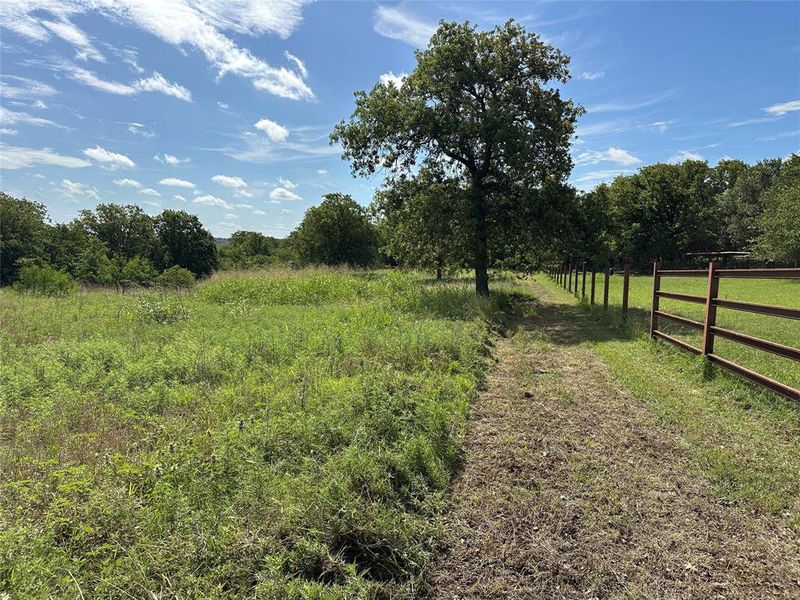 Natural landscape and outdoor views near in Springtown (Image 18). Natural landscape and outdoor views near in Springtown (Image 18).