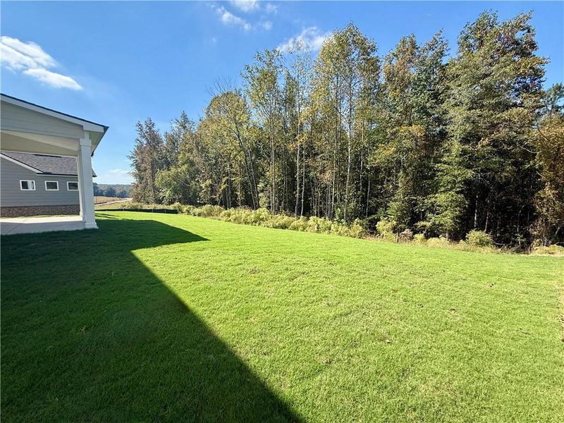 Image 42 of a home in Fowler Farms.