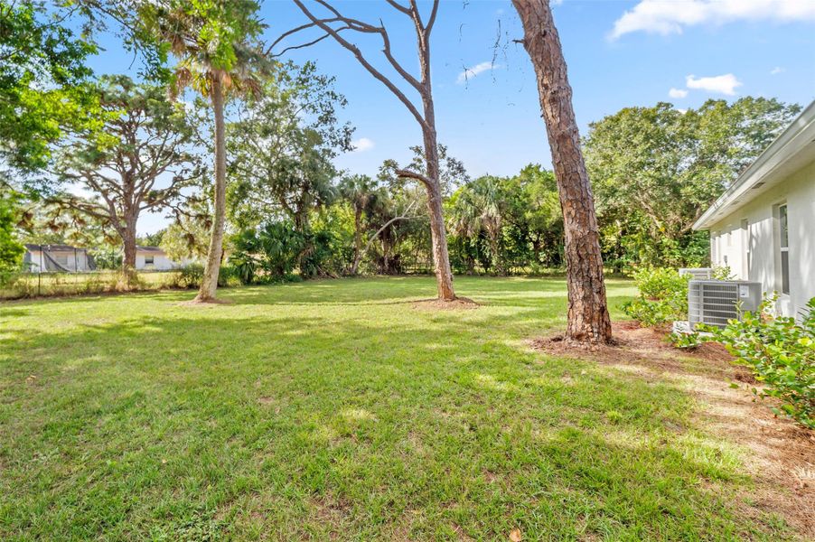 Natural landscape and outdoor views near  in Fort Pierce (Image 26).