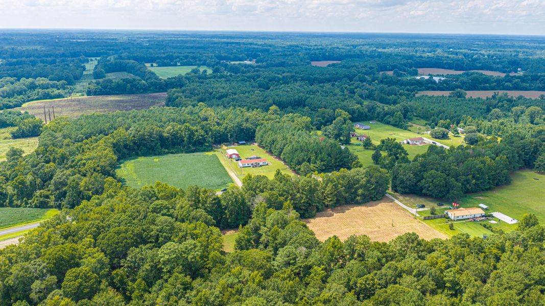 Natural landscape and outdoor views near  in Holly Hill (Image 63).