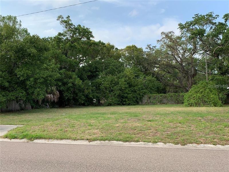 Natural landscape and outdoor views near  in St. Petersburg (Image 8).