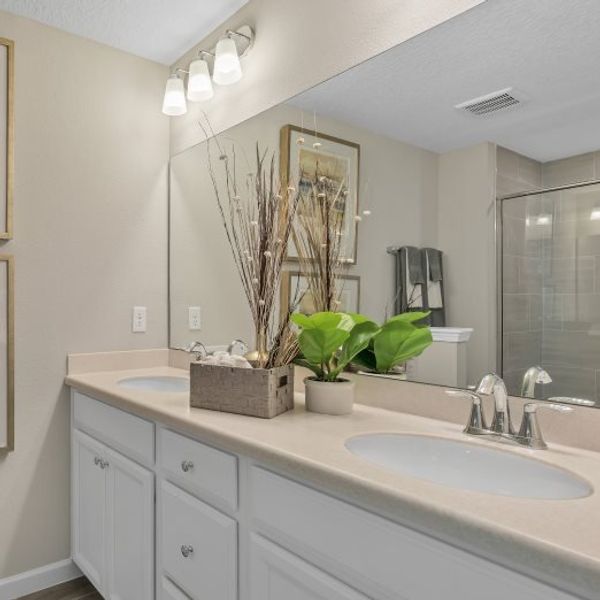 Owner's suite bathroom