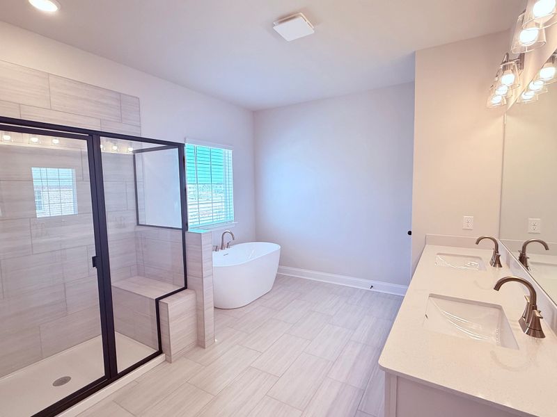 Primary Bathroom featuring AW Collection® Serene