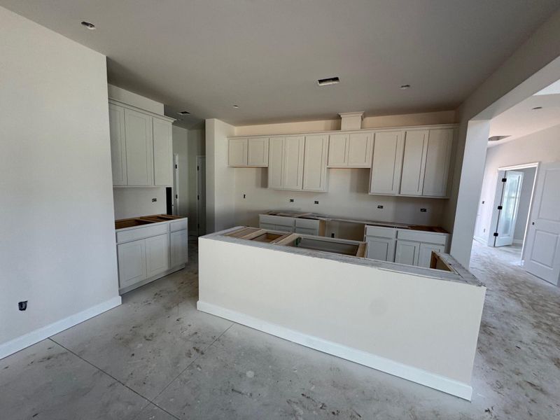 In-progress construction of a new home in Tea Farm: Presidents Series, Ravenel, SC (Image 35).