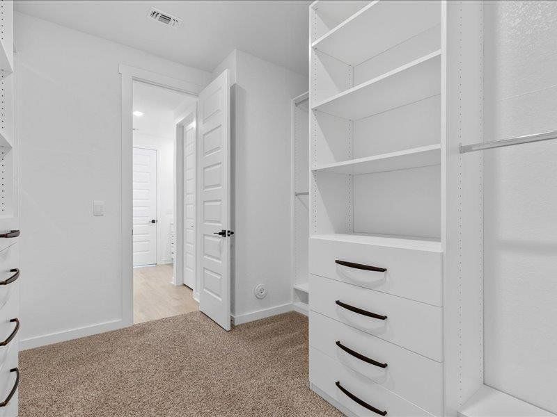 Spacious closet featuring light carpet