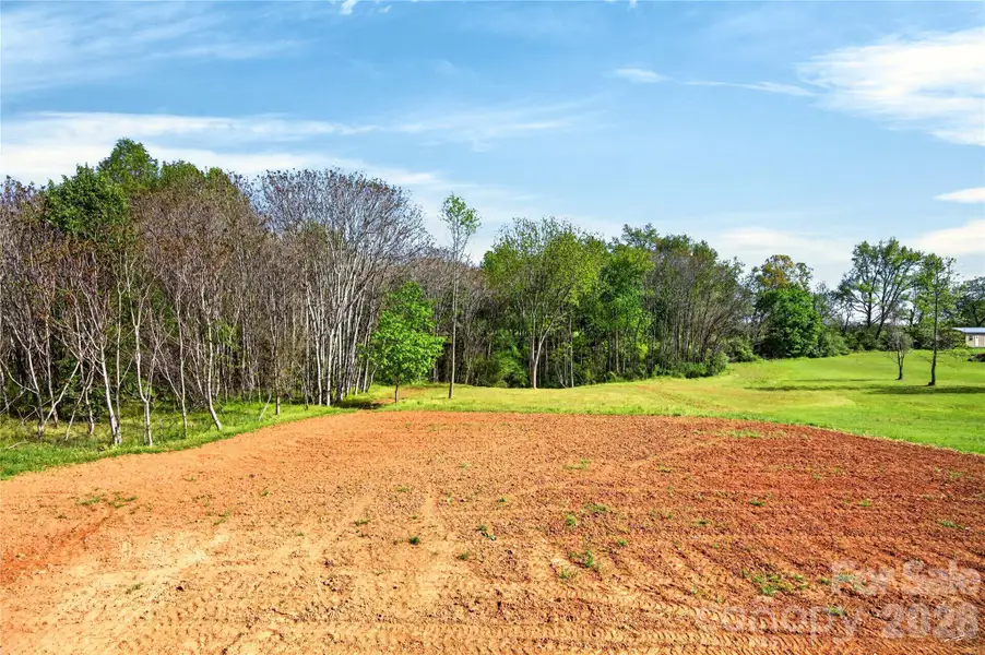 back yard area-goes into tree with stream back yard area-goes into tree with stream