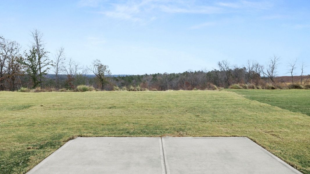 Natural landscape and outdoor views near Captain's Corner in Grovetown (Image 27).