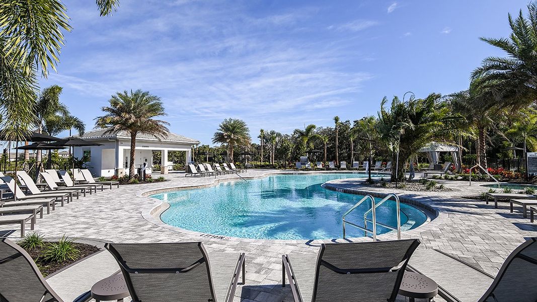 Community amenities in Skye Ranch Community Group Page, Sarasota (Image 50).