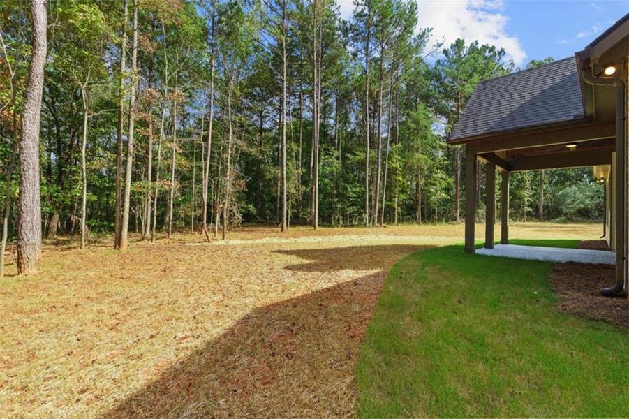 Exterior details and patio area of a home in , Jenkinsburg (Image 37).