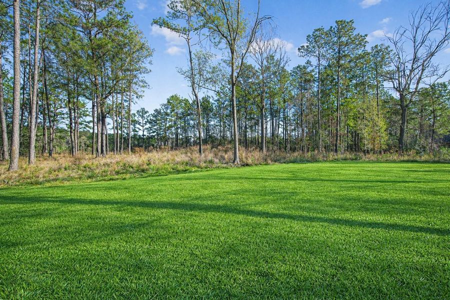 Natural landscape and outdoor views near  in Dayton (Image 40).