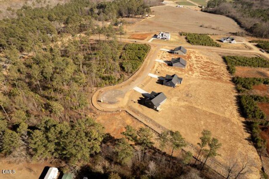Huge backyard