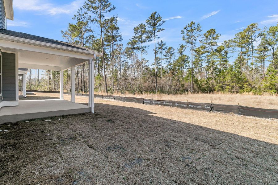 Exterior details and patio area of a home in Cherrywood Estates, Summerville (Image 29).