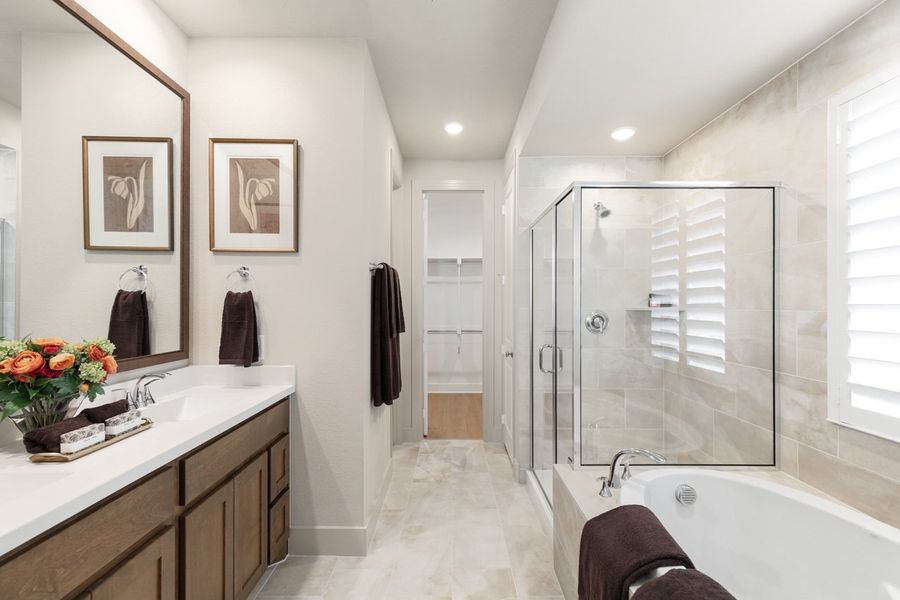 Representative Primary Bathroom - some options shown