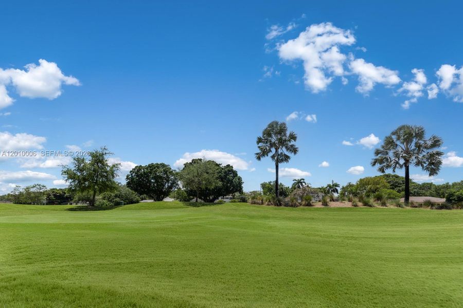 Natural landscape and outdoor views near  in Coral Gables (Image 52).