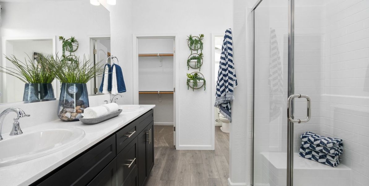 1440x724 Waterlily Primary Bathroom 1440x724 Waterlily Primary Bathroom