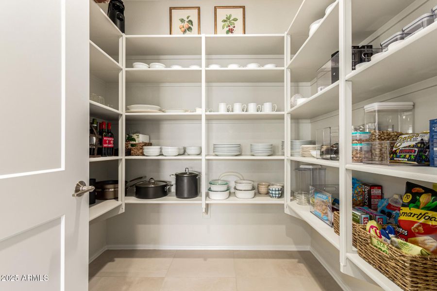 18-Cactus Wren 18-Cactus Wren