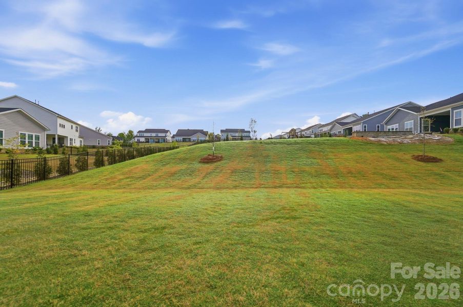 Natural landscape and outdoor views near  in Belmont (Image 44).