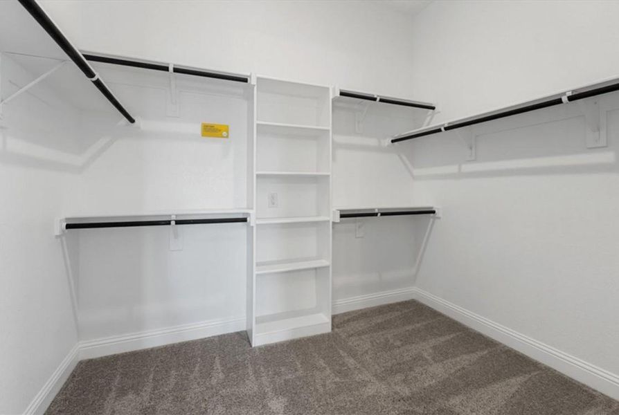 Ironwood II Representative Photography Ironwood II Representative Photography